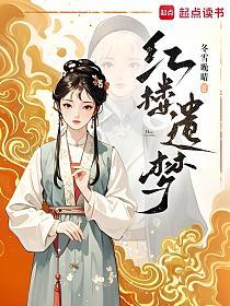 红楼遗梦的封面