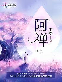 阿禅的封面