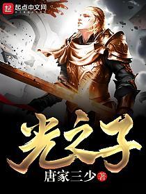 光之子的封面