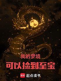 我的梦境可以捡到至宝的封面