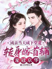 成亲当天成下堂妻，转身嫁首辅宠冠京华的封面