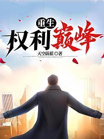 重生：权利巅峰的封面