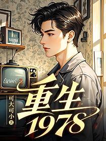 重生1978的封面