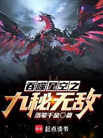 吞噬星空之九秘无敌的封面