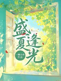 盛夏逢光的封面