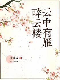 云中有雁醉云楼的封面