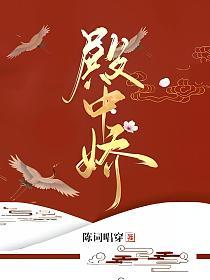 殿中娇的封面
