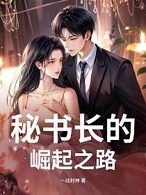 秘书长的崛起之路的封面