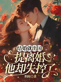 结婚就出国，提离婚他却失控了的封面