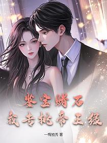 鉴宝赌石，我专挑帝王绿的封面