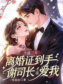 冷战三年，离婚证到手谢司长才说爱我的封面
