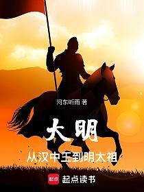 大明：从汉中王到明太祖的封面