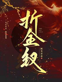 折金钗的封面