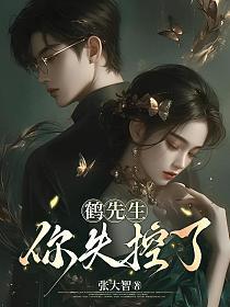 鹤先生,你失控了的封面