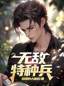 无敌特种兵的封面