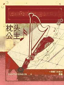 枕头公主的封面