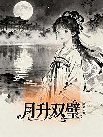 月升双璧的封面