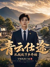 青云仕途:从被贬下乡开始的封面