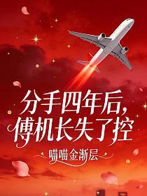 分手四年后，傅机长失了控的封面
