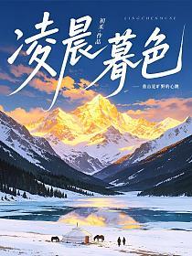凌晨暮色的封面