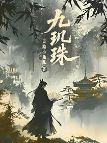 九玑珠的封面