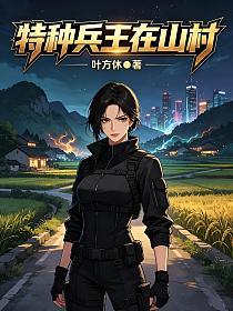 特种兵王在山村的封面