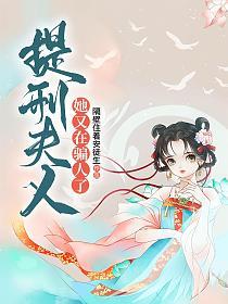 提刑夫人她又在骗人了的封面