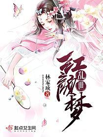 乱世红颜梦的封面