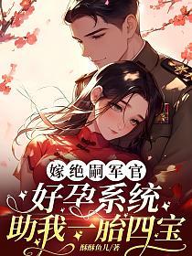 嫁绝嗣军官，好孕系统助我一胎四宝的封面