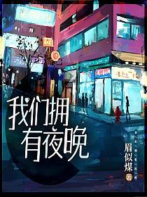 我们拥有夜晚的封面