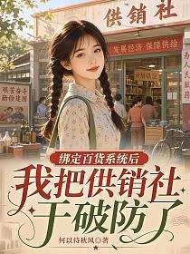 绑定百货系统后,我把供销社干破防了的封面