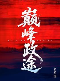 巅峰政途的封面