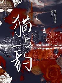 猫与豹的封面