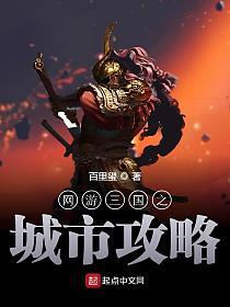 网游三国之城市攻略的封面