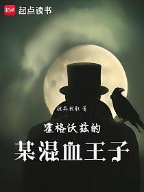 霍格沃兹的某混血王子的封面