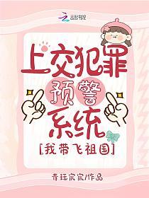 上交犯罪预警系统，我带飞祖国的封面