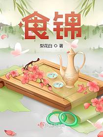 食锦的封面