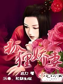狐狸娇妻的封面