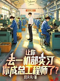 让你去一机部实习，你成总工程师了？的封面