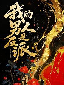 我的男人是反派的封面