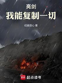 亮剑：我能复制一切的封面