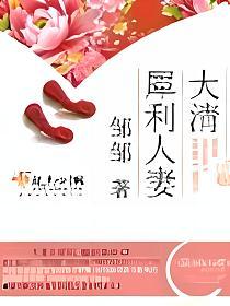 清朝经济适用男的封面
