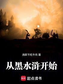 从黑水浒开始的封面