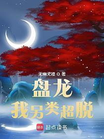 盘龙，我另类超脱的封面