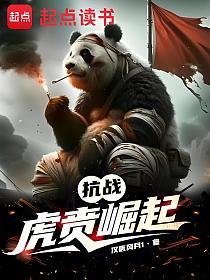 抗战：从常德保卫战开始的封面