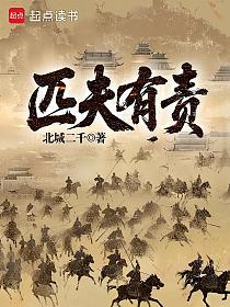 匹夫有责的封面