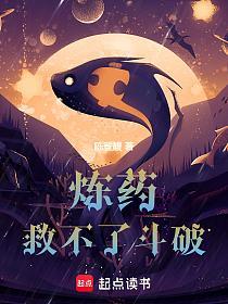 从炼器开始在斗破修仙的封面