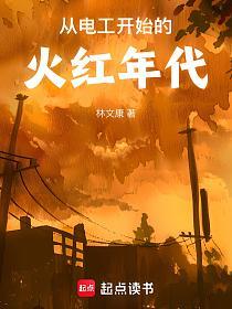 从电工开始的火红年代的封面