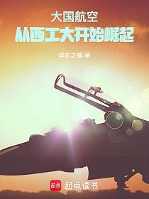 大国航空,从西工大开始崛起的封面