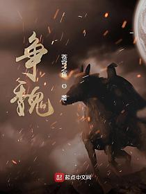 争魏的封面